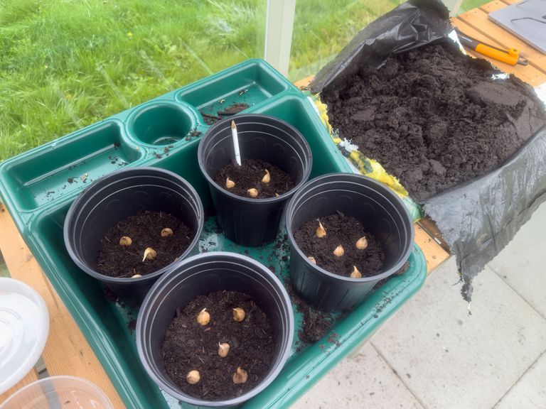 Artwork from project Studio and Life